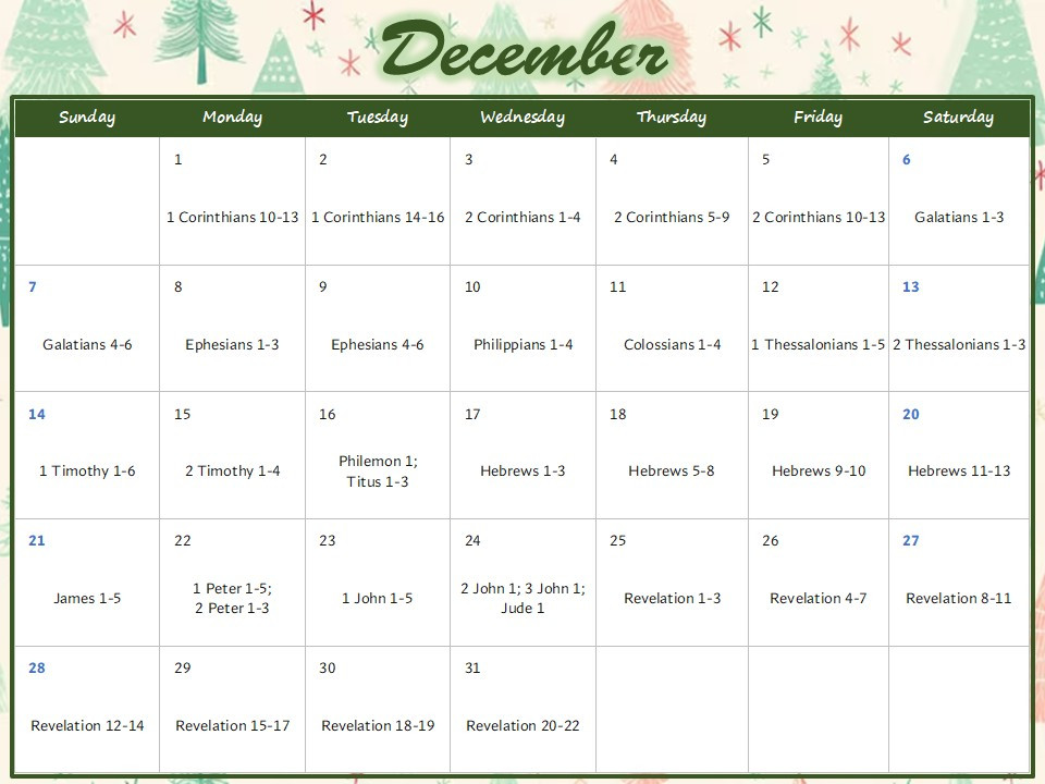 Bible Challenge December 2025